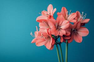 Beautiful bouquet of vibrant orange flowers against a blue background showcasing spring freshness photo
