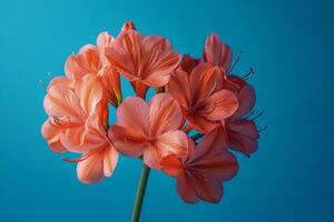 Beautiful bouquet of vibrant orange flowers against a blue background showcasing spring freshness photo