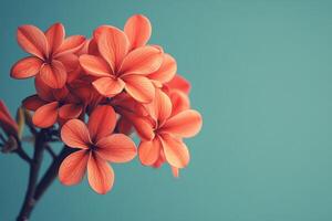Beautiful bouquet of vibrant orange flowers against a blue background showcasing spring freshness photo