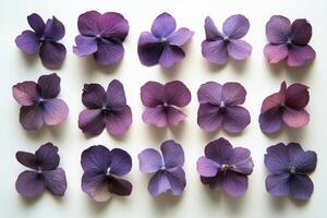 Beautiful lavender flowers arranged on a light background for decorative purposes photo