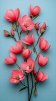 Blooming pink blossoms against a blue background create a vibrant floral display photo