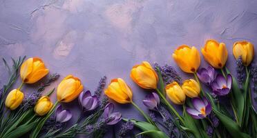 Bright yellow tulips and purple crocuses arranged on a pastel purple background in springtime photo