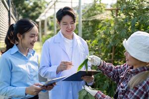Research on cannabis cultivation student interaction in greenhouse environment science focus educational setting photo