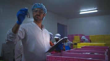 Raw material quality inspectors evaluate and inspect fish pieces before they enter the canned fish production process photo