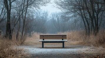 A bench sitting in the middle of a snowy path photo