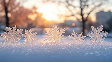 Snowflakes are shown in front of a sunset photo