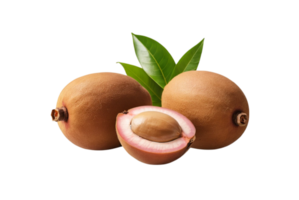 Sapodilla Transparent Image png