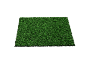 Rectangular Shape Green Grass Field 3D Illustration png