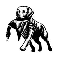 Labrador dog running biting the duck he hunted hunting logo illustration vector