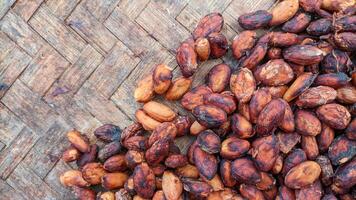 Cocoa beans or Chocolate Fruit are the seeds of the fruit of the cocoa tree or Theobroma cacao. Cocoa Fruit photo
