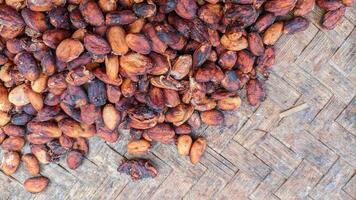 Cocoa beans or Chocolate Fruit are the seeds of the fruit of the cocoa tree or Theobroma cacao. Cocoa Fruit photo