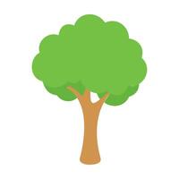 Stylized Tree Icon with Brown Trunk and Green Leaves vector