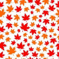 seamless pattern abstract leaf maple background vector