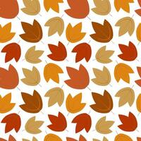 Seamless background with autumn leaves. Leaves on an isolated white background. vector