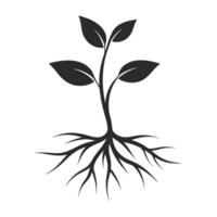 Smooth Layer Growth and Nature Art vector