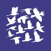 A collection of birds icon logotype from around the world vector