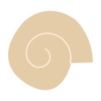 Spiral shell. Mollusk. illustration. vector