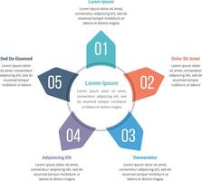 Circle infographics template with five elements, can be used as steps, options, process diagram vector