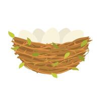 Bird nest with eggs. Branches and foliage collected together for laying and hatching chicks with nature design vector