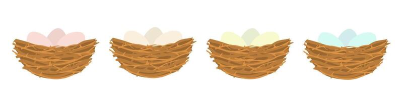 Birds nest with colorful eggs. Wild branches collected together for nesting and hatching chicks with nature design vector