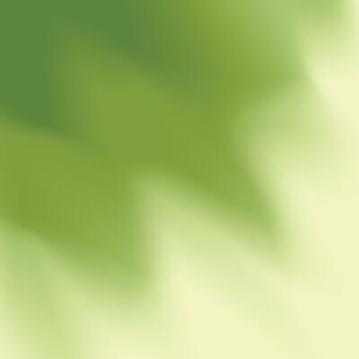 A green and white background with a blurry image of a leaf