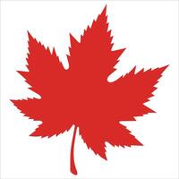 Clean and Simple Maple Leaves vector