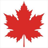 Maple Leaves in Circular Icon Style vector