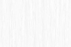White light wood texture pattern background vector