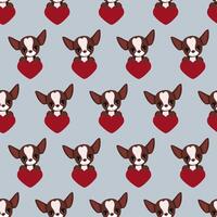 Seamless pattern with cute chihuahua dogs with a heart in their paw for Valentine's Day vector