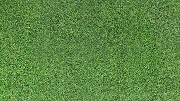 Seamless green carpet rug texture background from above, carpet material pattern texture flooring photo