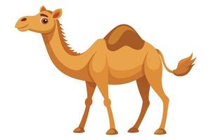 A cartoon illustration of a smiling camel with two humps on its back and a tuft of hair on its tail. vector