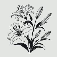 illustration of lily flowers, Vintage Floral Frame Hand-Drawn Engraved Sketch Bouquet in Linear Ink vector
