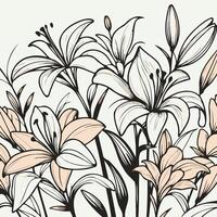 illustration of lily flowers. Lily flower arrangement line art on white background. Silhouette lilies botanical hand drawn element for wedding, invitation frame design illustration vector