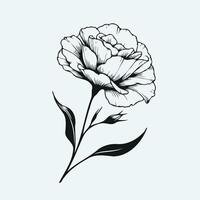 A black and white drawing of a flower, bouquet of lisianthus flowers, eustoma, in doodle style, illustration for coloring book, coloring pages vector