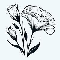 Black and white drawing of a flower, set of eustoma, lisianthus, tulip flowers in doodle style, illustration for coloring book, coloring pages vector