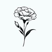 A black and white drawing of a flower, eustoma flower, lisianthus in doodle style illustration for coloring book, coloring pages for kids and adults vector