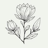 Magnolia branch in pastel color palette on beige background. Set of leaves black and white silhouettes of leaves seamless pattern with leaves, magnolia branch close up, leaf patterns vector
