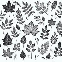 Big set of leaves from different kind of trees isolated. Set of outline autumn leaf oak, maple, rowan and acorns. Realistic cartoon coloring book style illustration. Set of line foliage. vector