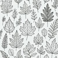 A black and white drawing of leaves, Hand - drawn autumn leaves outline from different trees, oak, maple, chestnut. Leaf line art collection for coloring books, patterns, stickers vector