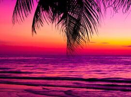 Silhouette of palm tree on the beach during sunset of beautiful a tropical beach on pink sky background photo