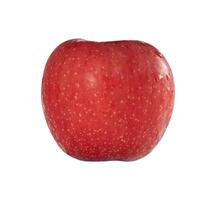 red apple isolated photo