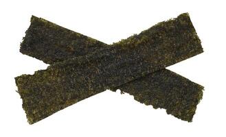 seaweed isolated element photo