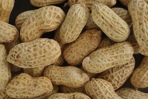 peanut texture background photo