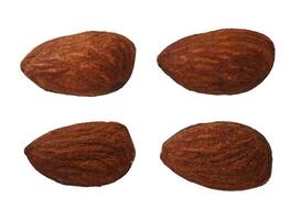 set of almond isolated element photo