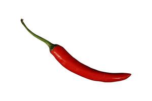 whole red hot chili isolated photo