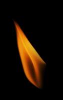Flame fire on black isolated photo
