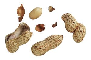 spread of peanut isolated photo