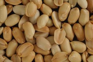 peanut texture background photo