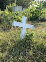 White Cross in the old grave photo