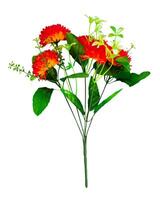 Chrysanthemum flowers element photo